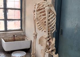 Dissection Hall 4